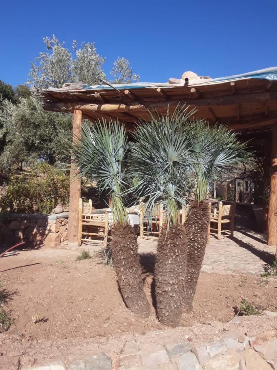 Kasbah Timdaf Hotell Demnat Exteriör bild