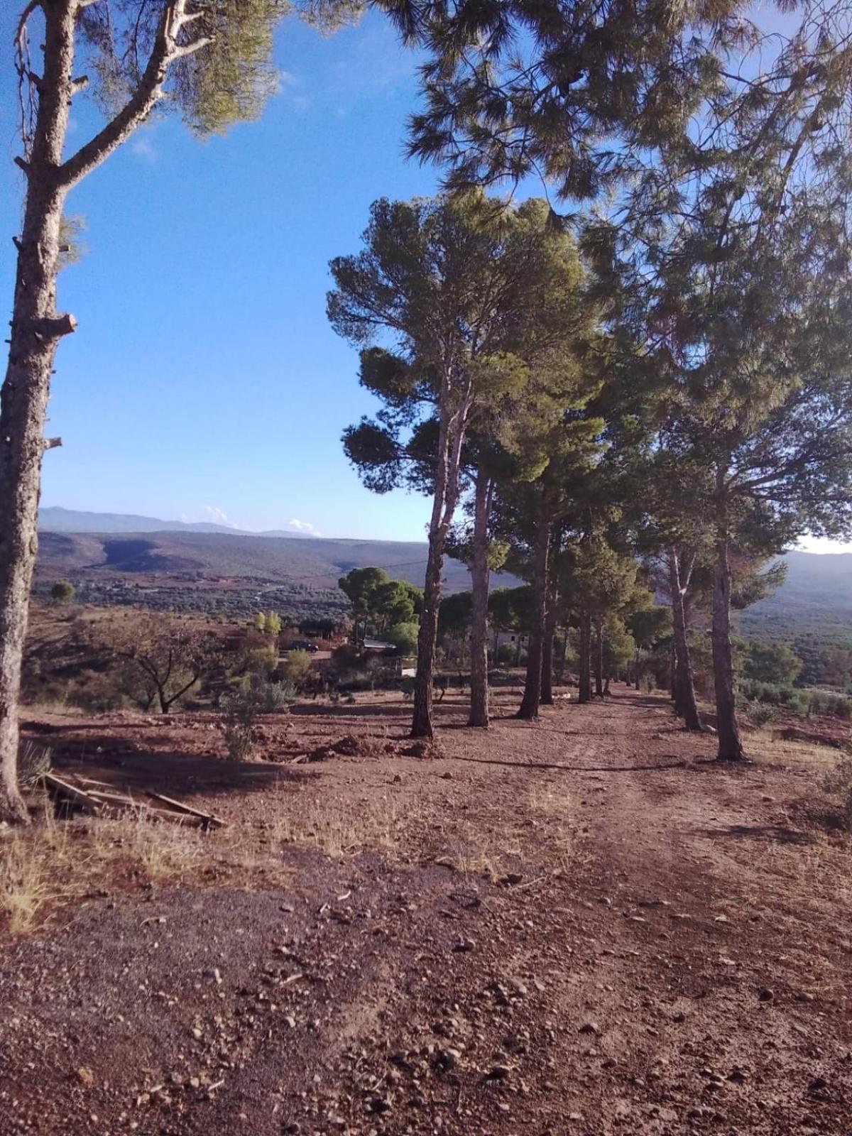 Kasbah Timdaf Hotell Demnat Exteriör bild