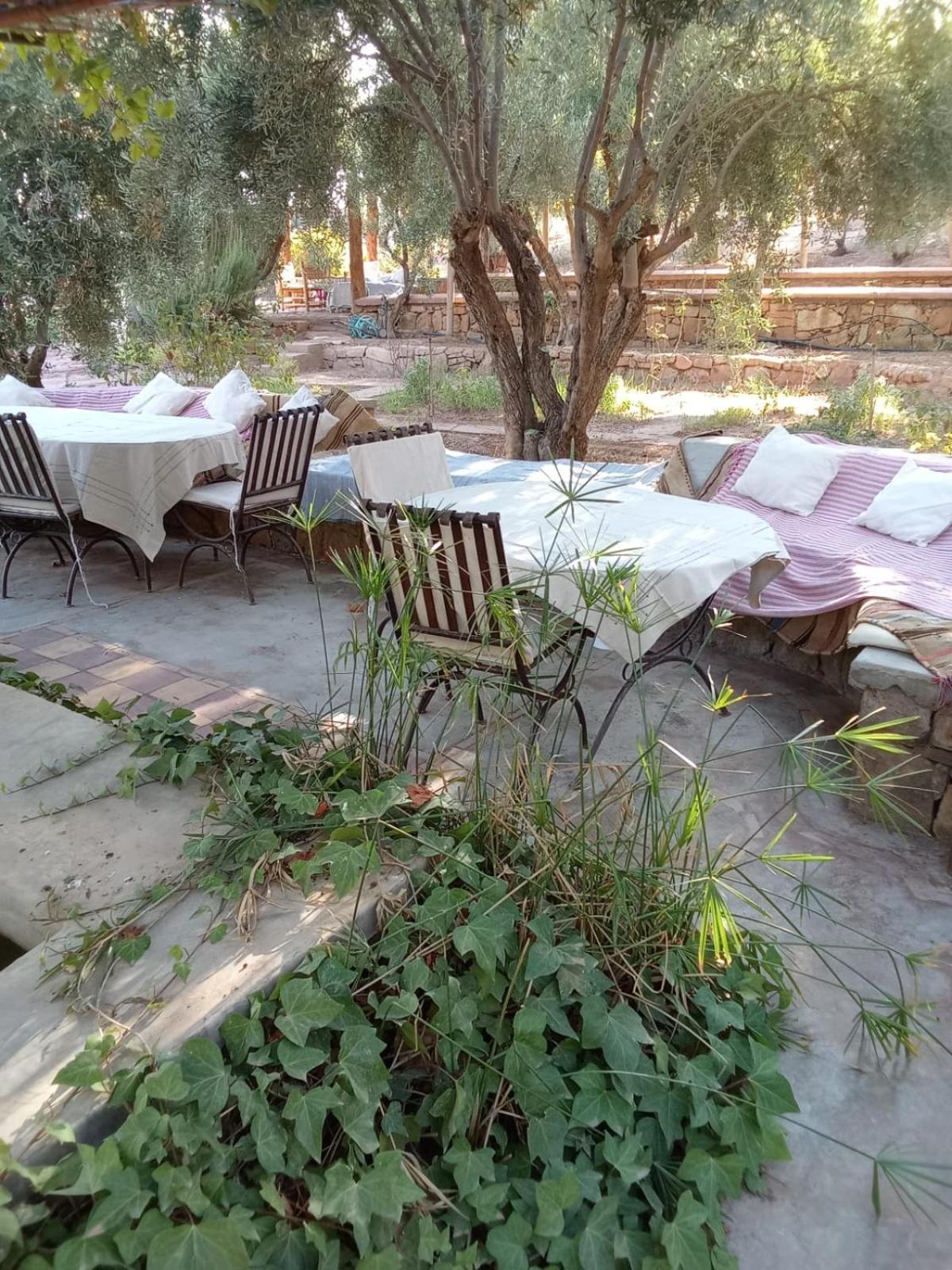 Kasbah Timdaf Hotell Demnat Exteriör bild