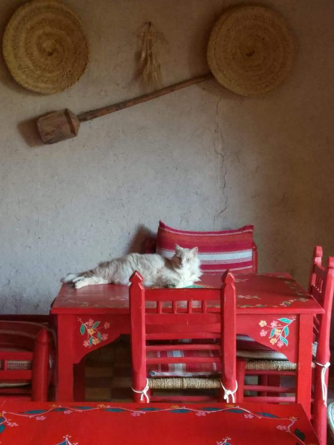 Kasbah Timdaf Hotell Demnat Exteriör bild